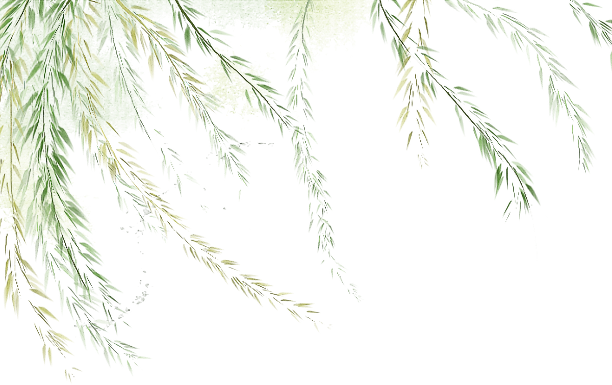 古风唯美插画素材-柳树